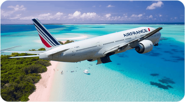 Авиакомпания Air France - забронировать авиабилет на Мальдивы | atnspb.ru