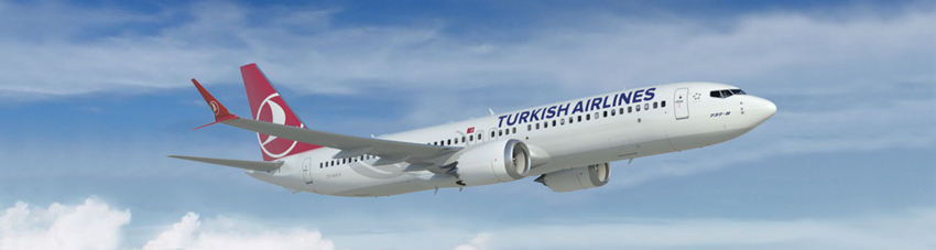 Авиакомпания Turkish Airlines - купить авиабилеты в СПб | atnspb.ru